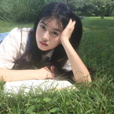 南极物语在线观看